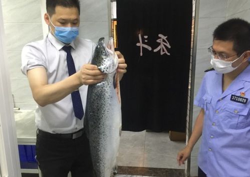 青岛城阳 市场监管局开展畜禽肉 水产品食品安全大排查工作